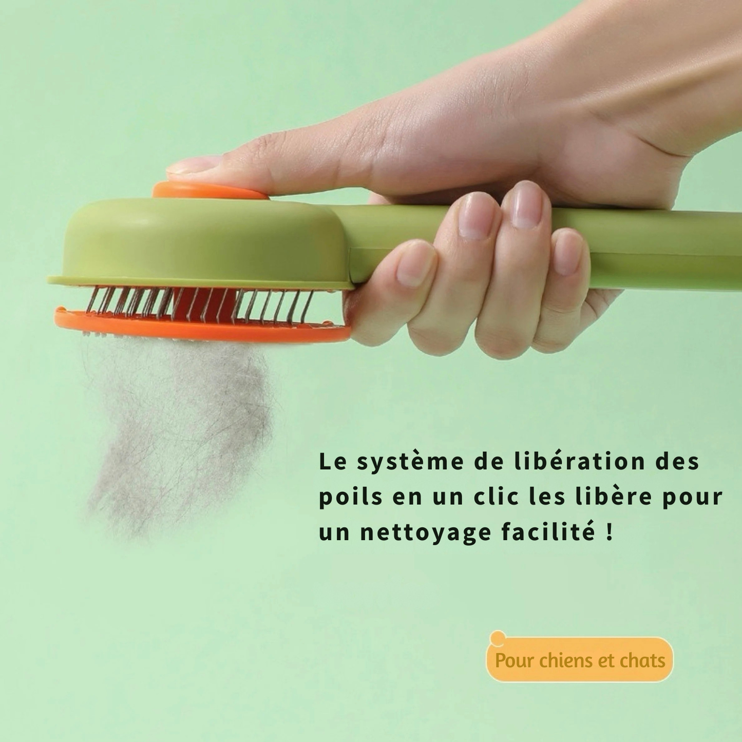 Démonstration du système de libération des poils en un clic sur une brosse autonettoyante verte pour chiens et chats, montrant le retrait instantané du pelage mort pour un entretien facilité.