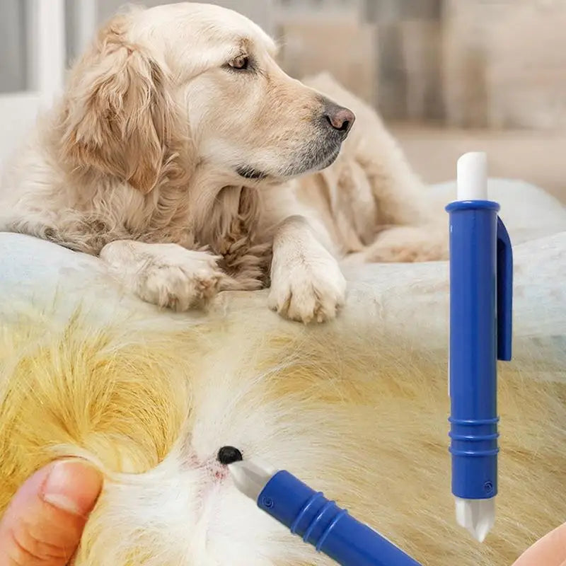 Retrait d'une tique sur un chien Golden Retriever avec une pince à tique rouge type stylo extracteur. L'image montre la précision du geste pour extraire le parasite en toute sécurité. Cet outil, également indispensable comme pince tique chat, permet un soin hygiénique. Utilisez cette pince tique ergonomique pour protéger la santé de vos animaux contre les parasites.