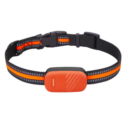 Vue recto-verso d'un boîtier de collier gps chat orange corail haute visibilité. Le visuel détaille la face avant avec port de charge magnétique et la face arrière équipée de deux clips de fixation robustes en métal. Un dispositif de traçage léger et sécurisé, idéal pour être monté sur un collier gps pour chaton, garantissant une tenue parfaite du collier gps lors des explorations.