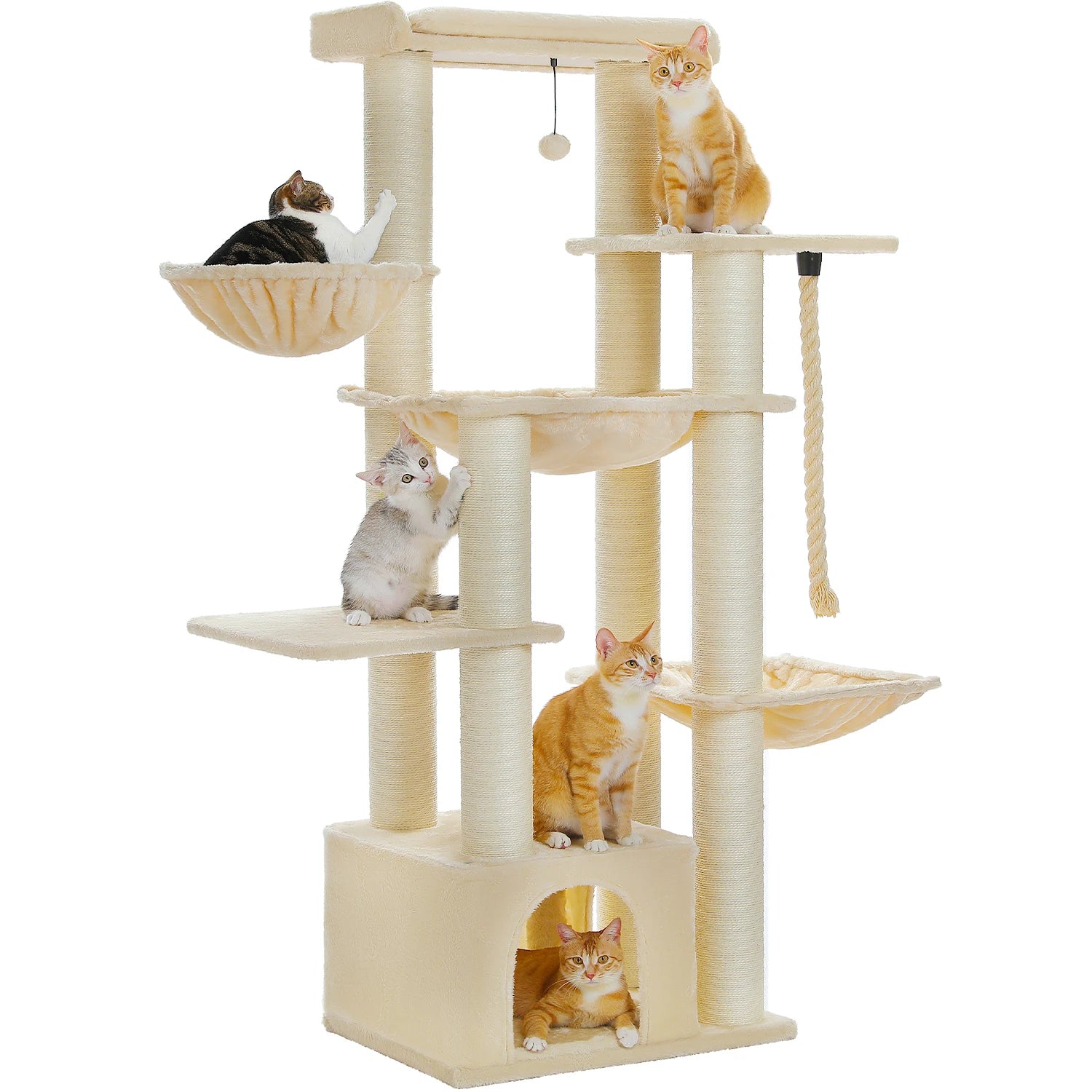 Arbre à chat beige et crème multi-niveaux avec échelles et hamacs, idéal pour chatons dans un intérieur lumineux.