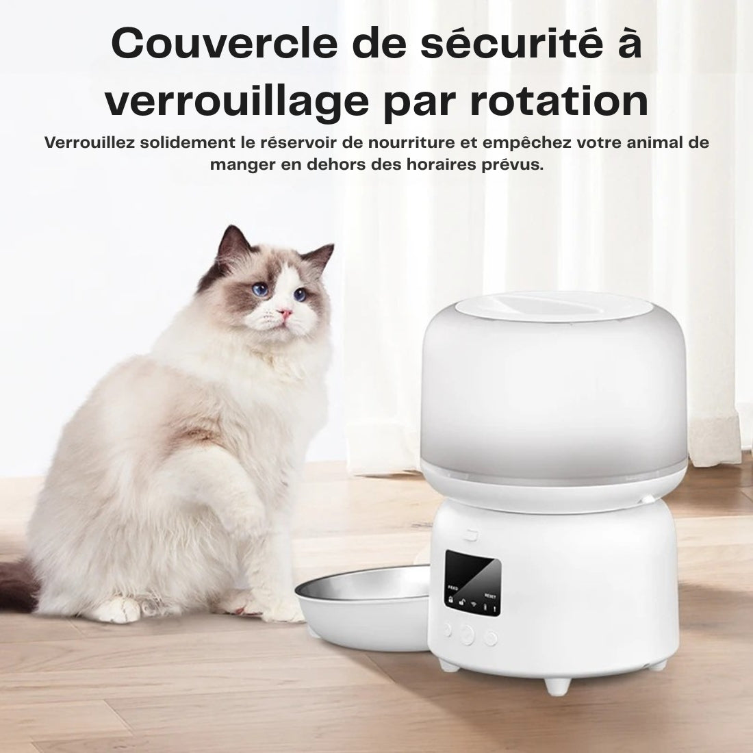 Chat Ragdoll assis à côté d'un distributeur automatique blanc doté d'un couvercle de sécurité à verrouillage par rotation pour empêcher l'accès à la nourriture hors des heures prévues.