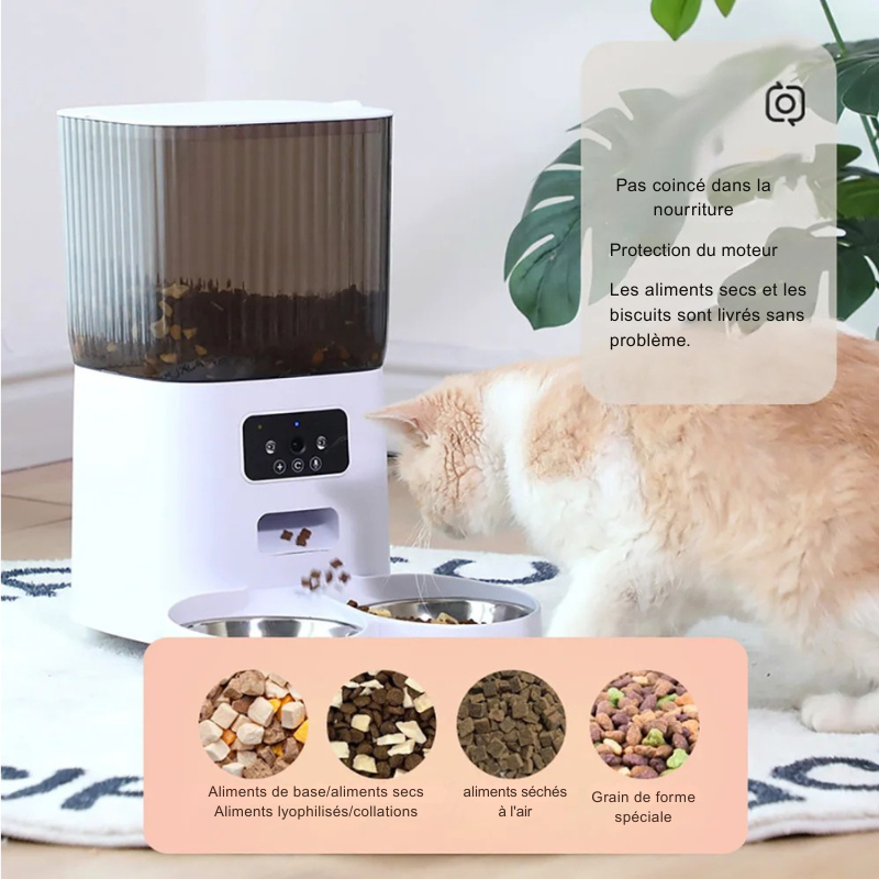 Infographie du distributeur croquettes chat et chien montrant le système anti-blocage et la protection du moteur. Le visuel présente la compatibilité avec les aliments secs, lyophilisés et séchés à l'air. Ce distributeur croquettes automatique à double gamelle assure une livraison fluide sans coincer la nourriture. Idéal comme distributeur croquettes chien polyvalent pour tous types de grains et formes spéciales.