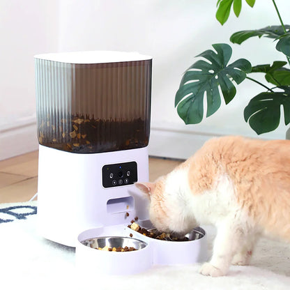 Infographie du distributeur croquettes chat et chien montrant le système anti-blocage et la protection du moteur. Le visuel présente la compatibilité avec les aliments secs, lyophilisés et séchés à l'air. Ce distributeur croquettes automatique à double gamelle assure une livraison fluide sans coincer la nourriture. Idéal comme distributeur croquettes chien polyvalent pour tous types de grains et formes spéciales.