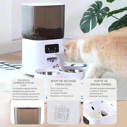 Infographie du distributeur croquettes chat et chien montrant le système Fresh Lock et la turbine anti-blocage. Le visuel détaille le couvercle étanche, la boîte de séchage et la compatibilité avec les aliments lyophilisés. Ce distributeur croquettes automatique à double gamelle inox assure une conservation parfaite et une livraison fluide. Un distributeur croquettes chien et chat haute performance pour grains de toutes formes.