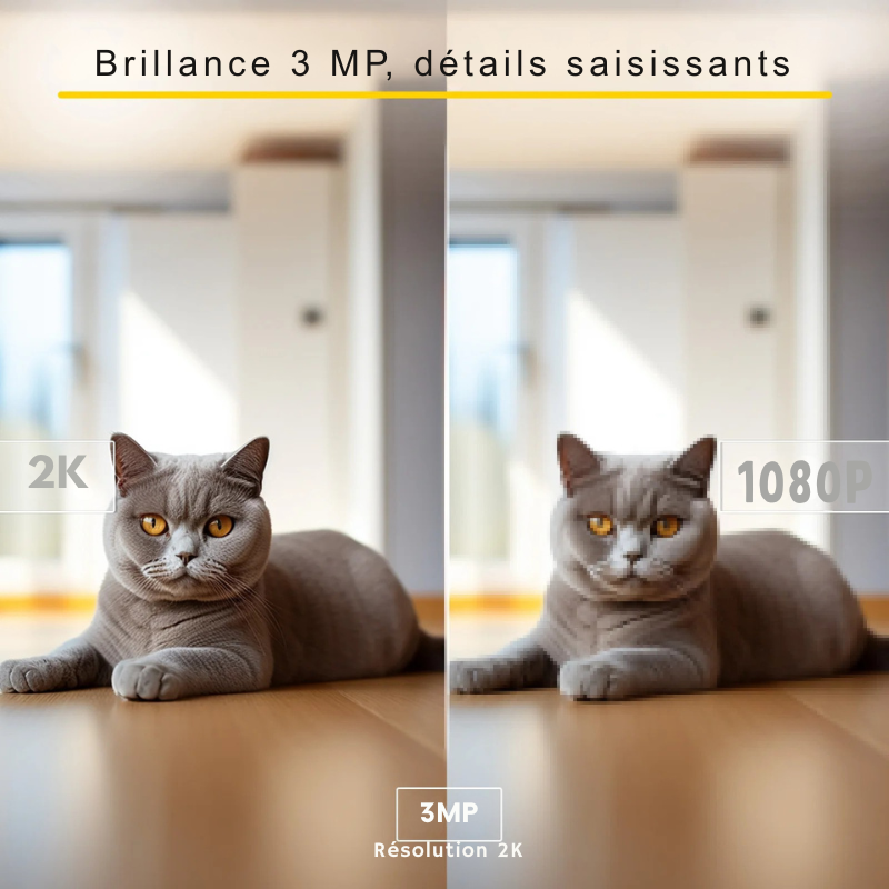 Smart camera de surveillance animaux Ultra-HD 3MP avec connexion Dual-Band WiFi 2.4/5GHz. Un smartphone affiche l'image nette d'un chat en mouvement. Cette caméra chat et caméra chien rotative offre une vision fluide et haute définition pour surveiller vos animaux de compagnie sans latence. Marque Boykeep, design blanc moderne.