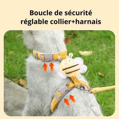 Un chaton porte un harnais pour chat jaune moutarde avec une clochette abeille. Image montrant avec des flèches les boucles de sécurité réglables. Harnais chaton doux et confortable, idéal comme premier harnais pour chat. Les Trésors d'Owka.