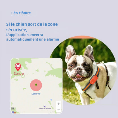 Infographie présentant la fonction de géo-clôture d'un collier gps chat orange. Le visuel montre une carte avec une zone de "Sécurité" circulaire et une zone de "Danger" avec une icône de cloche d'alerte. Un chien portant le traceur illustre le concept : si l'animal sort de sa zone, l'application envoie automatiquement une alarme. Une protection technologique idéale comme collier gps pour chaton, assurant une sécurité totale via ce collier gps intelligent.