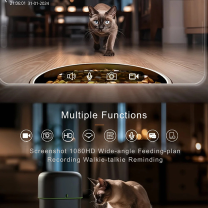 Infographie des fonctions du distributeur intelligent : caméra 1080HD grand angle, plan de nutrition automatique et mode talkie-walkie. Ce système permet une surveillance vidéo aussi précise qu'un traceur gps pour l'intérieur. Idéal en complément d'un collier gps chat pour garder un œil sur votre animal. Une technologie de pointe pour votre collier gps virtuel de maison.