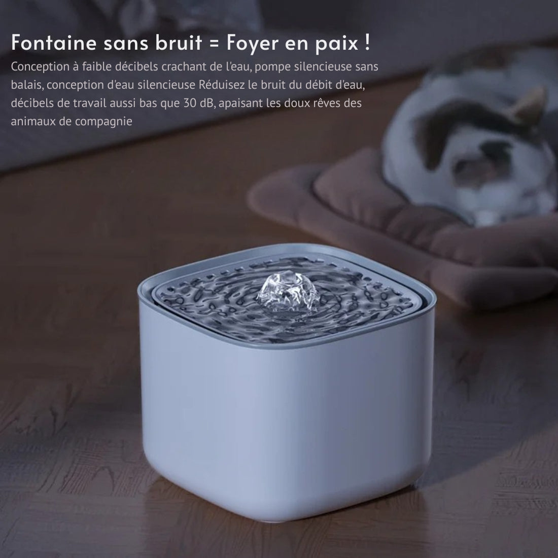 Fontaine à eau pour chat carrée blanche fonctionnant en mode silencieux à 30 dB, avec un chat dormant sereinement à côté sur un coussin.