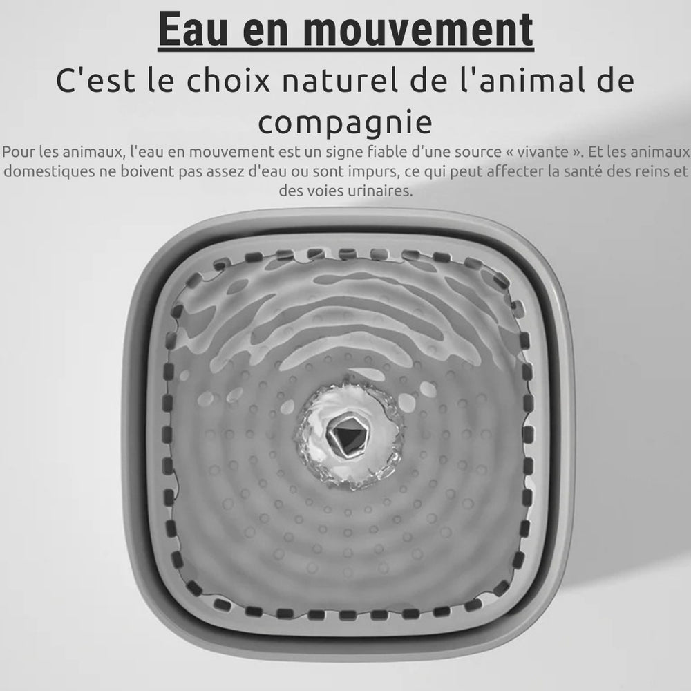 LA FONTAINE CHAT QUI PROTÈGE SES REINS
