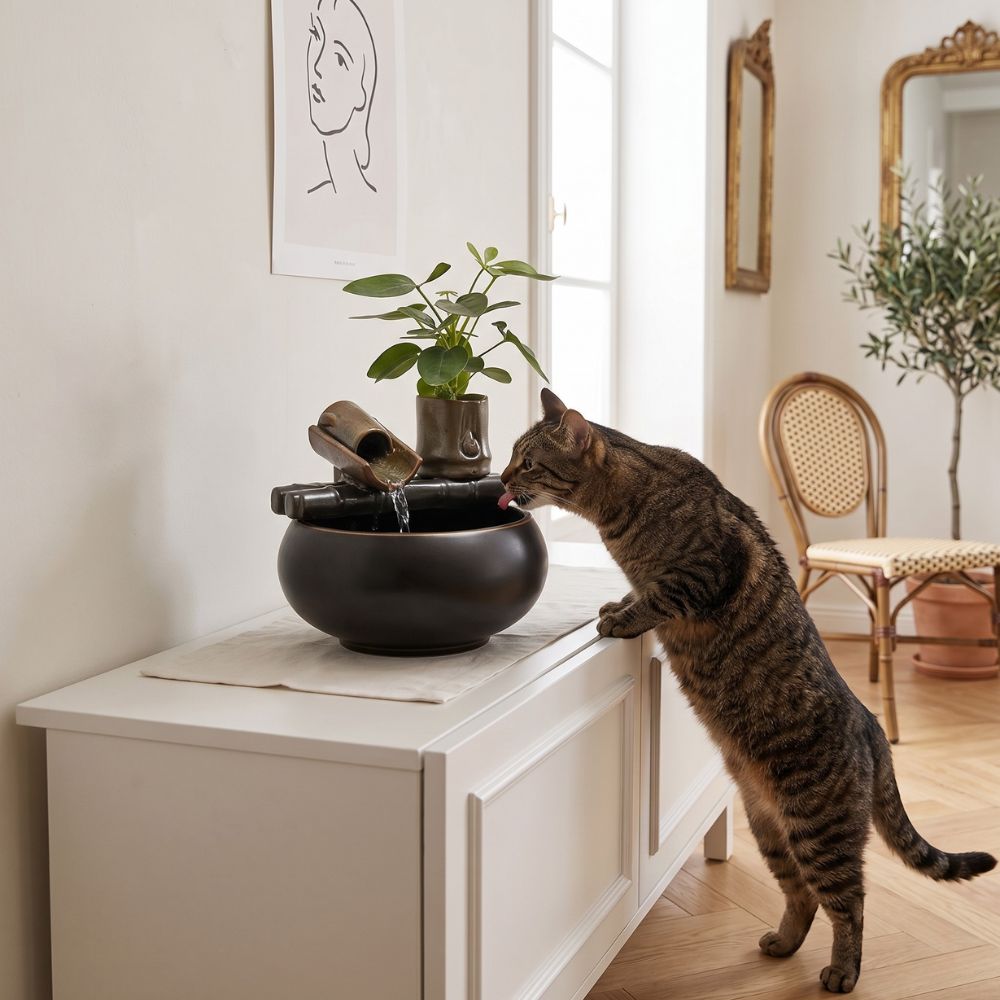 LA FONTAINE A EAU CHAT QUI SAUVE SES REINS