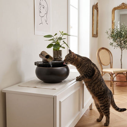 Chat tigré debout qui boit dans la fontaine à eau céramique L'Oasis Zen sur un meuble blanc – Les Trésors d'Owka