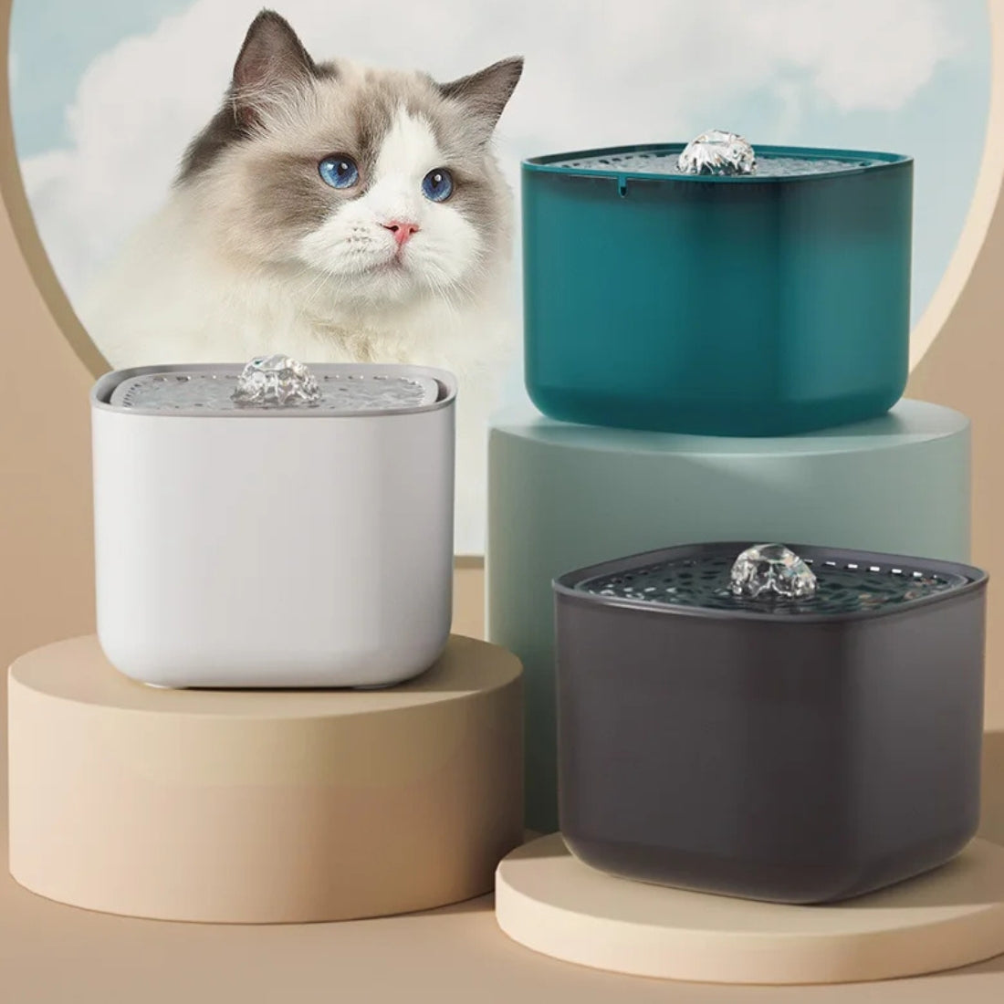 Collection de fontaines à eau carrées pour chat en blanc, gris anthracite et bleu pétrole avec jet bouillonnant central, présentées sur des socles design avec un chat Ragdoll en arrière-plan.