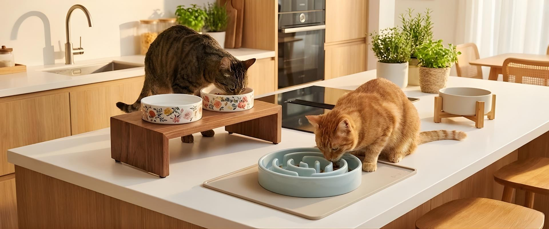 Deux chats profitant de leur repas dans une cuisine lumineuse : un chat tigré utilise une gamelle chat surélevée avec de jolis bols en céramique, tandis qu'un chat roux mange doucement dans une gamelle anti glouton chat posée sur un tapis gamelle chat de protection.