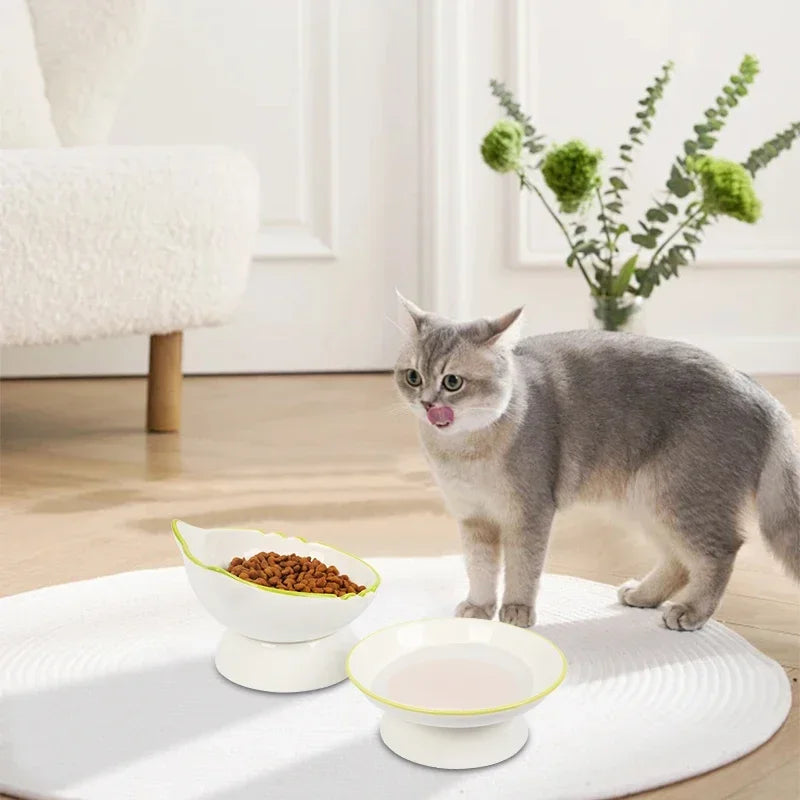 Chat gris dégustant ses croquettes dans une gamelle pour chat surélevée en céramique blanche au design tête de chat. Cet ensemble de gamelle chat ergonomique avec liseré vert et fond rose assure un confort digestif optimal. Une gamelle de luxe stable et élégante pour un intérieur moderne.