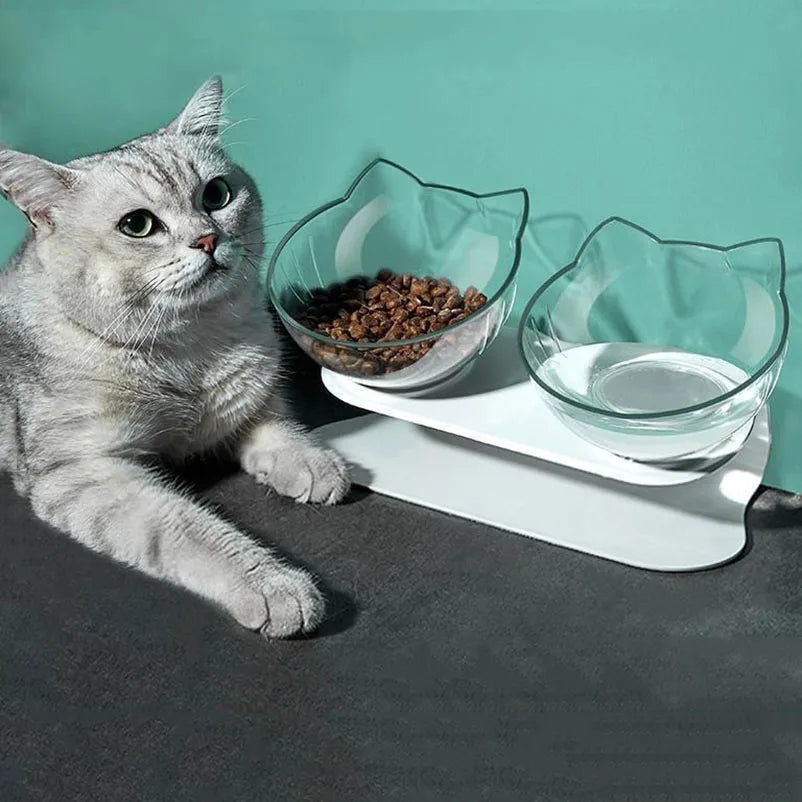 Chat gris à côté d'une gamelle pour chat double inclinée à 15 degrés avec deux bols transparents design oreilles de chat. Cette gamelle chat orthopédique sur support blanc assure un confort cervical optimal, protège la colonne vertébrale et facilite la digestion de votre animal. Une gamelle ergonomique et élégante pour un coin repas sain.