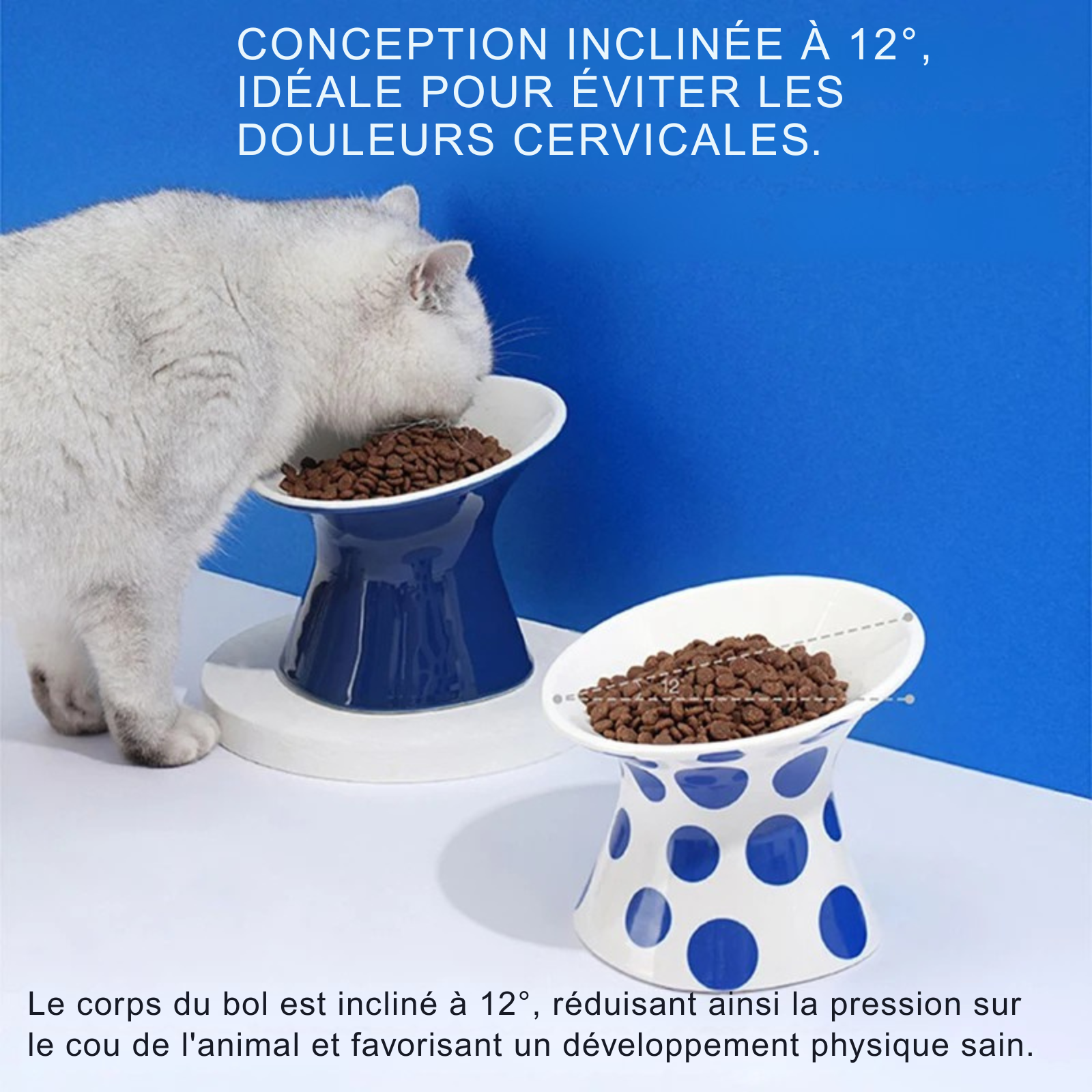 Infographie démontrant les bénéfices d'une gamelle pour chat inclinée à 12 degrés pour éviter les douleurs cervicales. Chat blanc mangeant dans une gamelle animaux surélevée en céramique bleue au design ergonomique. Cette gamelle pour chat favorise une posture saine et une digestion optimale tout en offrant un design de luxe à pois bleus.