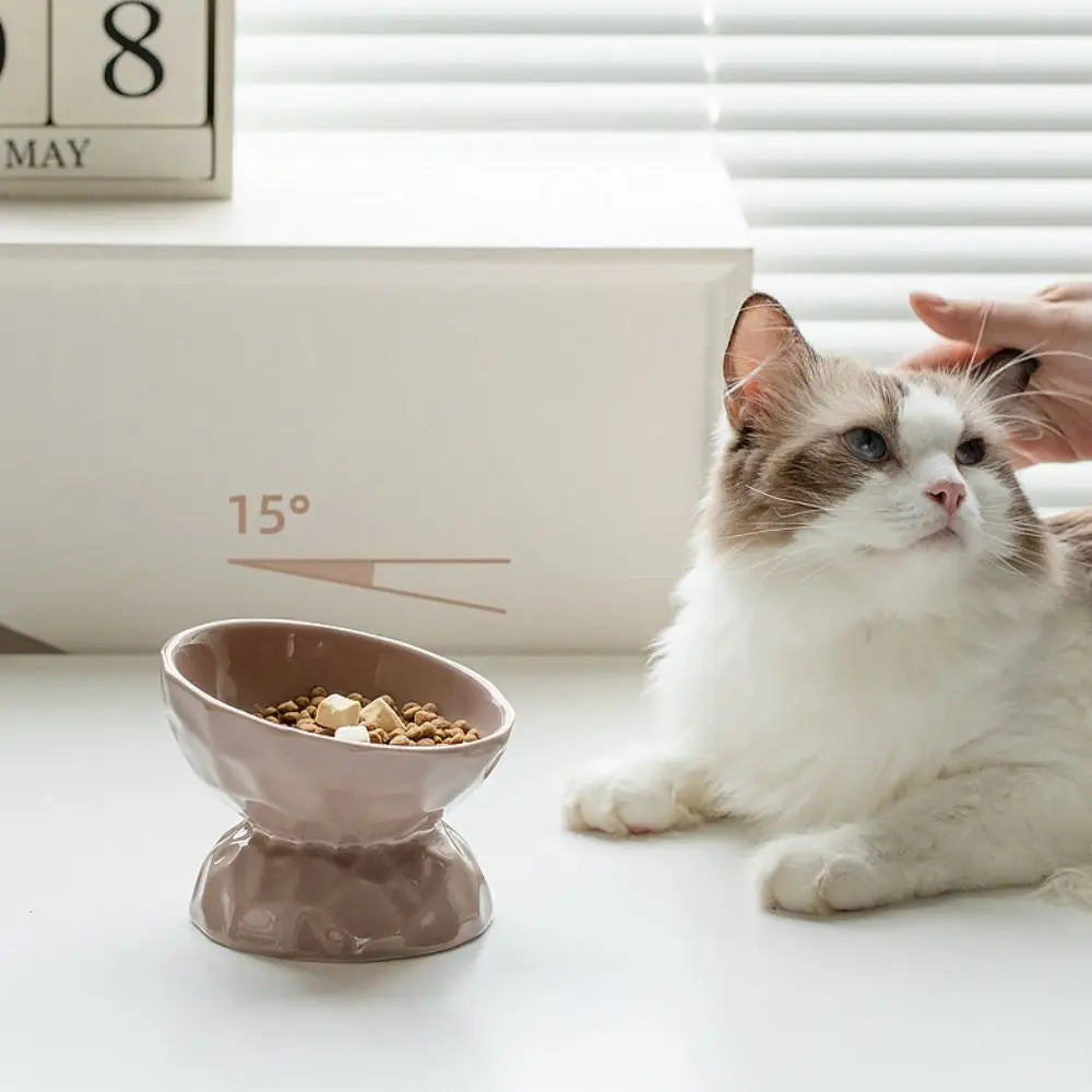 Chat Ragdoll à côté d'une gamelle pour chat surélevée et inclinée à 15° de couleur taupe. Cette gamelle chat ergonomique avec texture facettée aide à prévenir les vomissements et protège les cervicales. Une gamelle animaux design et santé indispensable pour le confort digestif quotidien de votre félin.