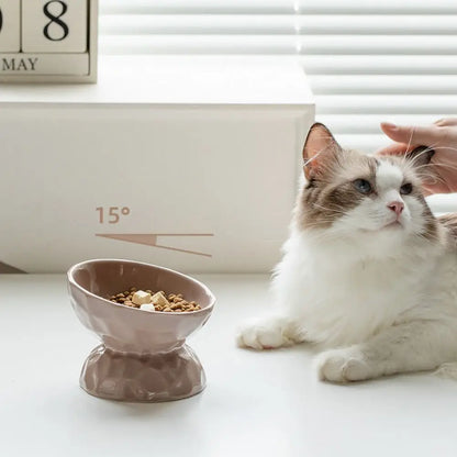 Chat Ragdoll à côté d'une gamelle pour chat surélevée et inclinée à 15° de couleur taupe. Cette gamelle chat ergonomique avec texture facettée aide à prévenir les vomissements et protège les cervicales. Une gamelle animaux design et santé indispensable pour le confort digestif quotidien de votre félin.