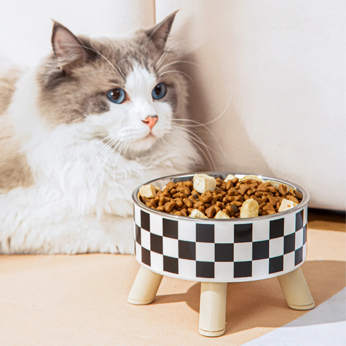 Chat Ragdoll à côté d'une gamelle pour chat surélevée avec bol en acier inoxydable et support à motif damier noir et blanc. Cette gamelle chat orthopédique sur trois pieds en bois assure un confort cervical optimal et une hygiène parfaite. Une gamelle design scandinave élégante remplie de nourriture pour le bien-être de votre félin.