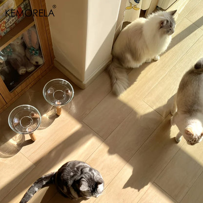 Gamelle surélevée pour chat de marque Kemorela en verre transparent avec support trépied en bois, design minimaliste moderne, présentée dans un salon lumineux avec deux chats de race.
