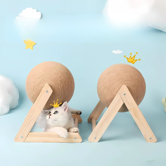 Chat blanc curieux sous un jouet griffoir composé d'une boule rotative en corde de sisal naturel montée sur un support triangulaire en bois clair, idéal pour le jeu et l'entretien des griffes.