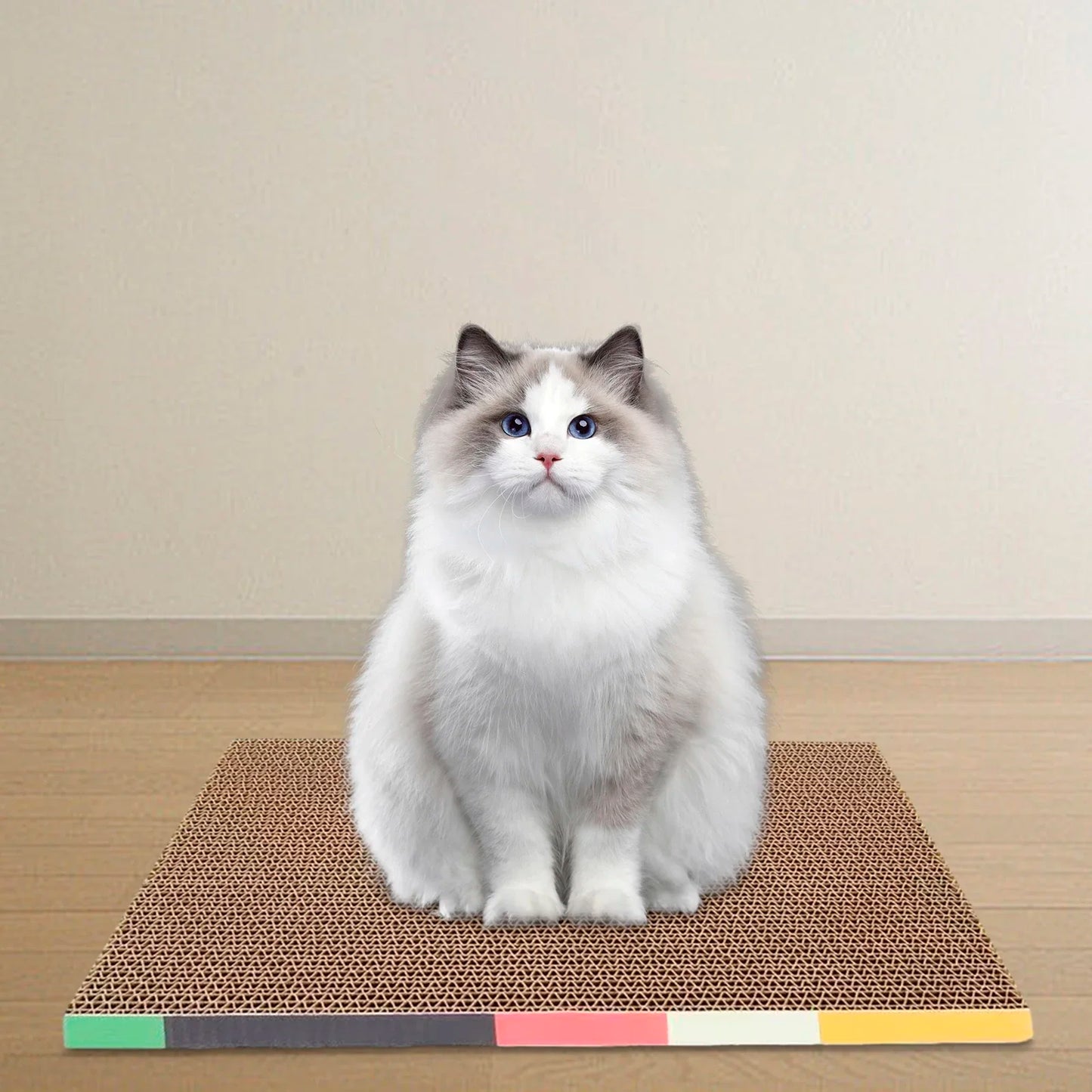 Chat blanc à poils longs assis sur une planche à griffer rectangulaire en carton ondulé haute densité avec bordure colorée, posée sur un sol en bois.
