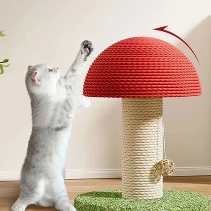 Chaton gris s'étirant pour utiliser un griffoir design en forme de champignon géant avec chapeau rouge en sisal tressé et balle suspendue interactive.