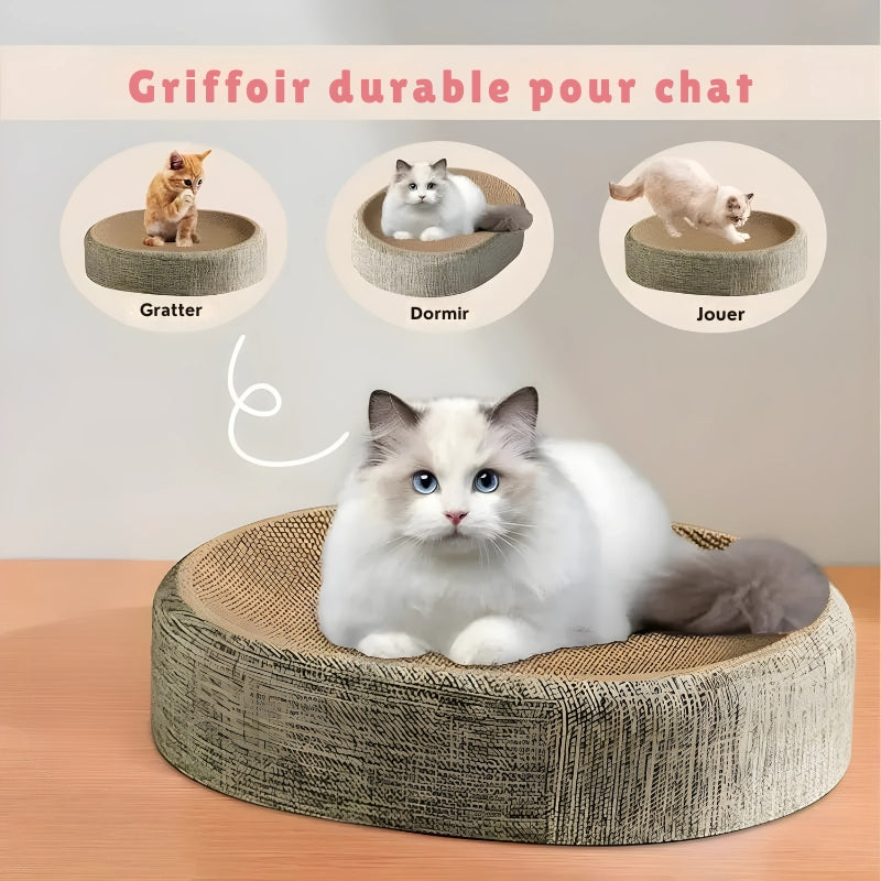 Infographie d'un griffoir durable pour chat montrant les trois fonctions : gratter, dormir et jouer, avec un chat Ragdoll blanc installé sur le panier en carton ondulé.
