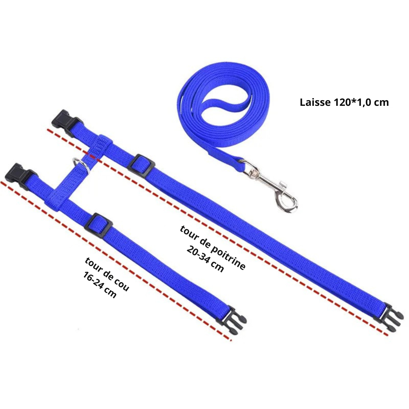 Infographie technique des dimensions du harnais pour chat en nylon bleu. Le guide indique un tour de cou de 16-24 cm et un tour de poitrine de 20-34 cm pour ce harnais chat ajustable. La laisse assortie mesure 120 cm par 1 cm. Un schéma indispensable pour choisir le harnais animaux idéal pour chaton ou petit chat en toute sécurité.