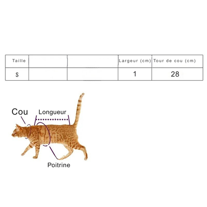 Guide des tailles pour collier pour chat et collier chaton. Tableau de mesures indiquant la taille S (largeur 1cm, tour de cou 28cm) avec un schéma explicatif sur un chat roux pour mesurer le cou, la poitrine et la longueur. Image technique essentielle pour choisir le bon collier chat sans se tromper.