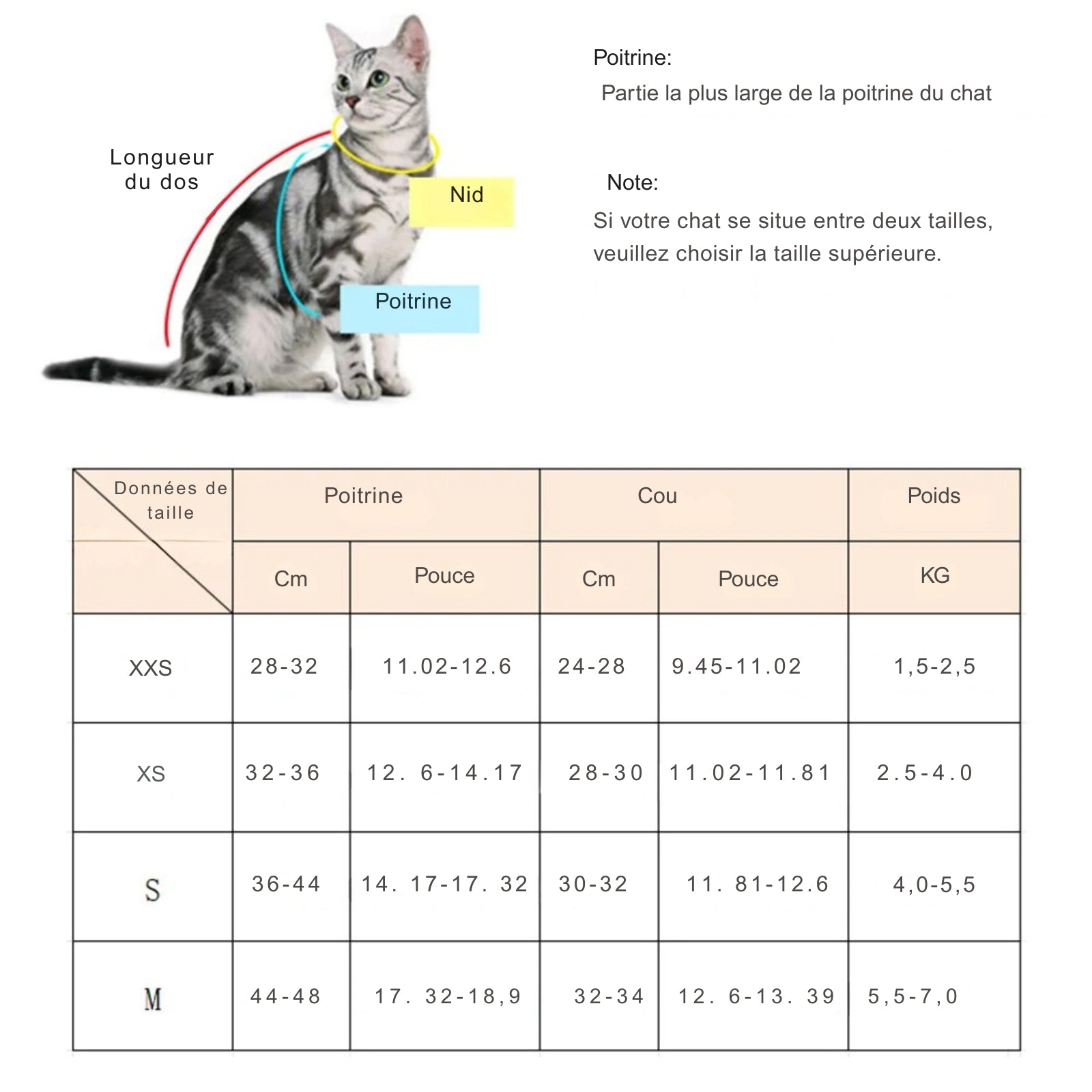 Tableau des tailles détaillé pour harnais et collier gps chat présentant quatre catégories (XXS à M) basées sur la poitrine (28-48 cm), le cou (24-34 cm) et le poids (1,5-7 kg). Une infographie explique comment mesurer le nid, la poitrine et la longueur du dos du félin. Ce guide est l'outil idéal pour choisir un collier gps pour chaton sécurisé, garantissant un ajustement confortable pour votre collier gps