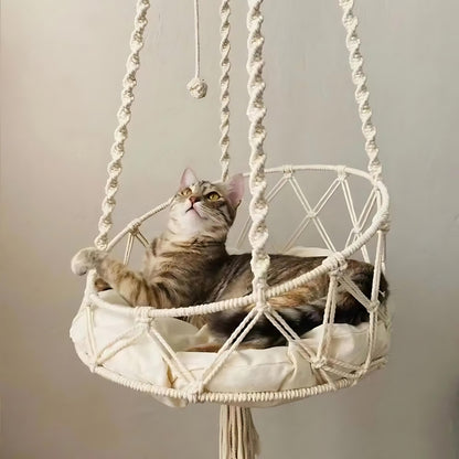 Chat tigré installé confortablement dans un hamac suspendu en macramé de coton blanc cassé, doté d'un coussin moelleux et de cordes tressées artisanales pour une décoration bohème.