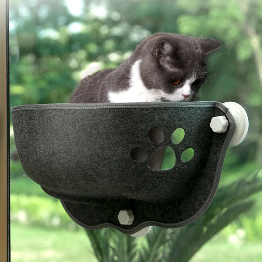 Chat noir et blanc installé dans un hamac de fenêtre gris anthracite en feutre épais, fixé à une vitre par des ventouses à vis haute sécurité, offrant une vue sur le jardin.