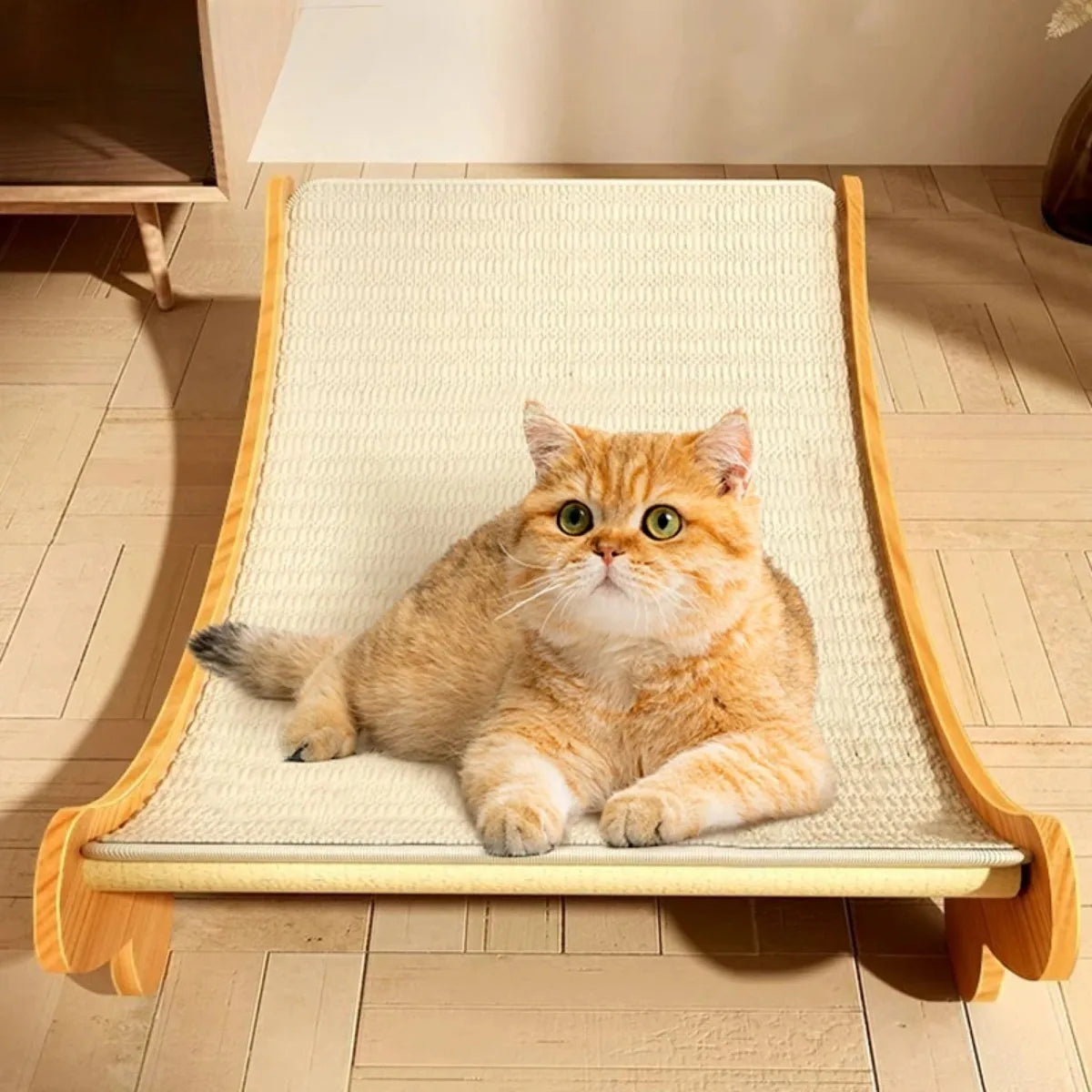 Photographie d'un chat roux installé sur un griffoir chat haut de gamme en forme de hamac incurvé. L'image présente la structure robuste en bois clair et la surface de griffade en sisal tissé beige crème de ce griffoir pour chat élégant. Ce griffoir a chat au design scandinave sert à la fois de lit douillet et de zone d'entretien des griffes, offrant une solution durable et esthétique pour protéger vos meubles. Un accessoire de mobilier félin premium qui allie bien-être animal et décoration intérieure, excl