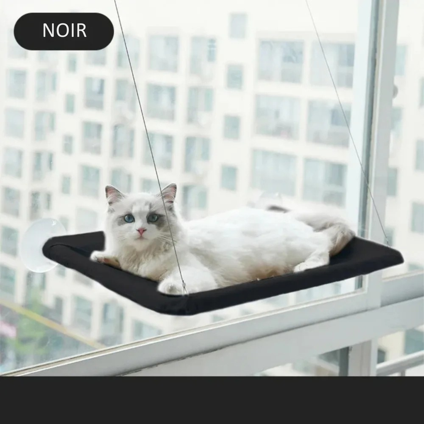 Hamac pour chat noir de fenêtre fixé par ventouses haute résistance. L'image montre un hamac chaton noir suspendu sur une vitre avec un chat blanc profitant de la vue. Lit de fenêtre moderne, robuste et gain de place pour hamac a chat. Qualité premium Les Trésors d'Owka.