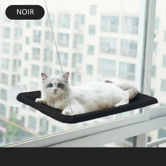 Hamac chat ventouse noir fixé à une vitre, un chat blanc aux yeux bleus couché dessus — Les Trésors d'Owka