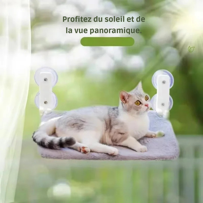 Hamac pour chat de fenêtre sans câbles avec housse en peluche grise moelleuse. L'image présente un chaton sur un hamac chaton fixé par ventouses offrant une vue panoramique sur l'extérieur. Lit de fenêtre ultra-confortable, stable et moderne pour hamac a chat. Qualité Les Trésors d'Owka.