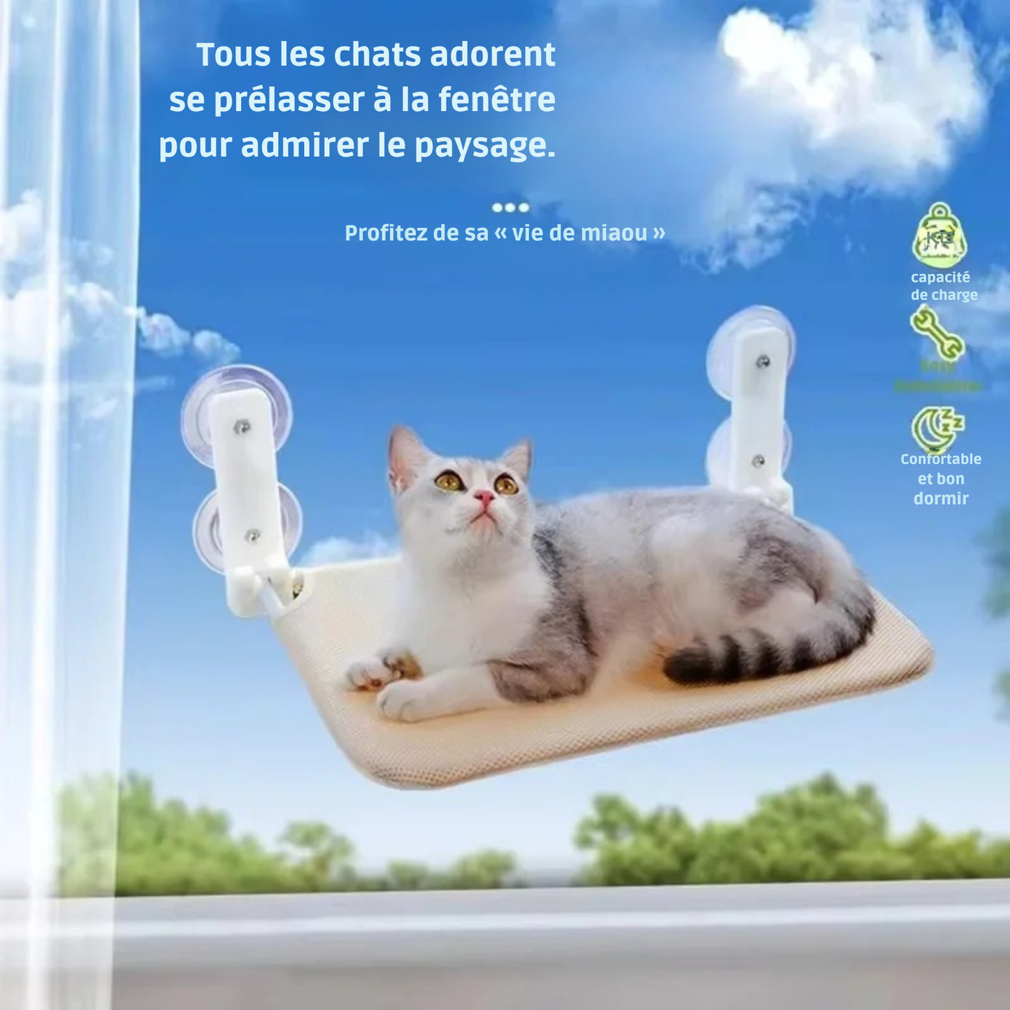 Affiche publicitaire pour un hamac pour chat de fenêtre sans câbles de suspension. L'image présente un chaton sur un hamac chaton pliable en mesh beige avec pictogrammes de capacité de charge et montage facile. Accessoire idéal pour admirer le paysage, stable et confortable pour hamac a chat. Les Trésors d'Owka.