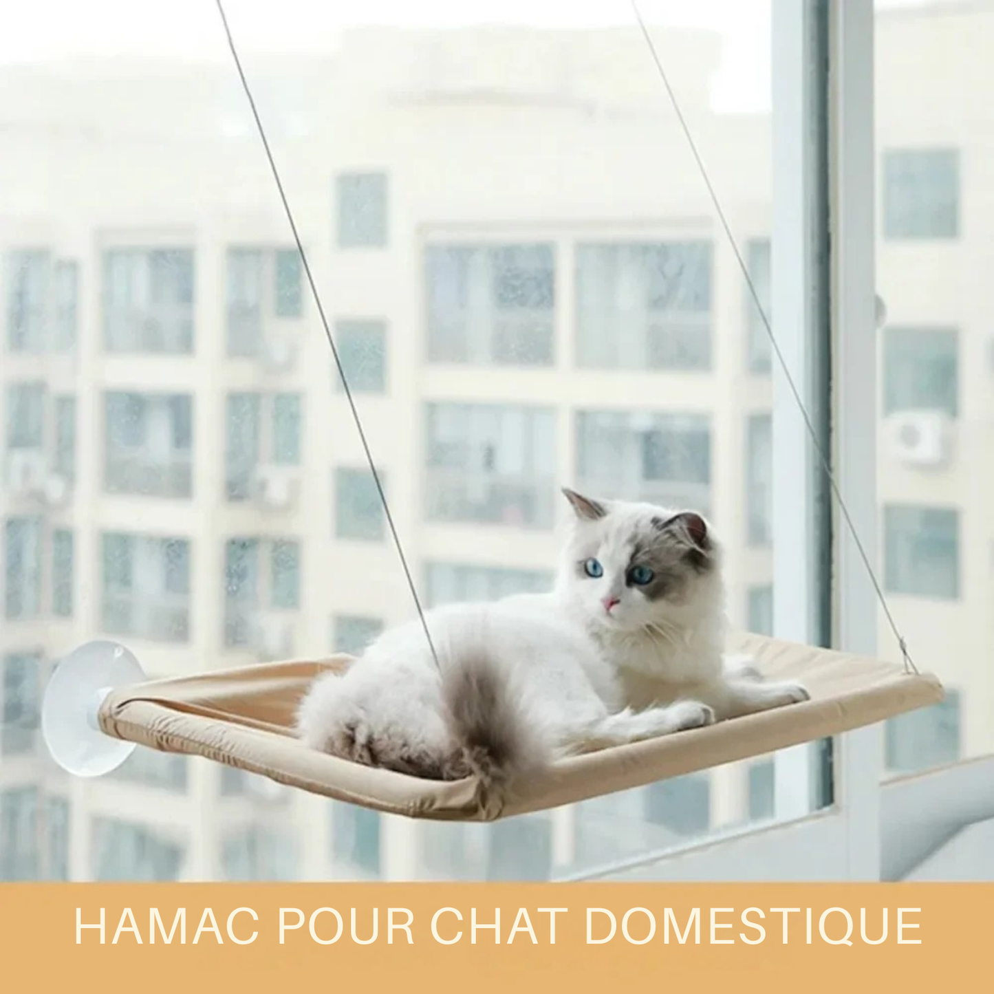 Hamac pour chat domestique fixé sur une vitre par ventouses puissantes. L'image montre un hamac chaton beige suspendu offrant une vue panoramique. Lit de fenêtre confortable et sécurisé pour hamac a chat. Idéal pour optimiser l'espace en appartement. Qualité Les Trésors d'Owka.