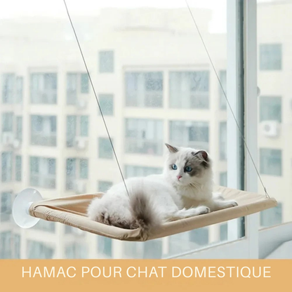 Hamac pour chat domestique fixé sur une vitre par ventouses puissantes. L'image montre un hamac chaton beige suspendu offrant une vue panoramique. Lit de fenêtre confortable et sécurisé pour hamac a chat. Idéal pour optimiser l'espace en appartement. Qualité Les Trésors d'Owka.