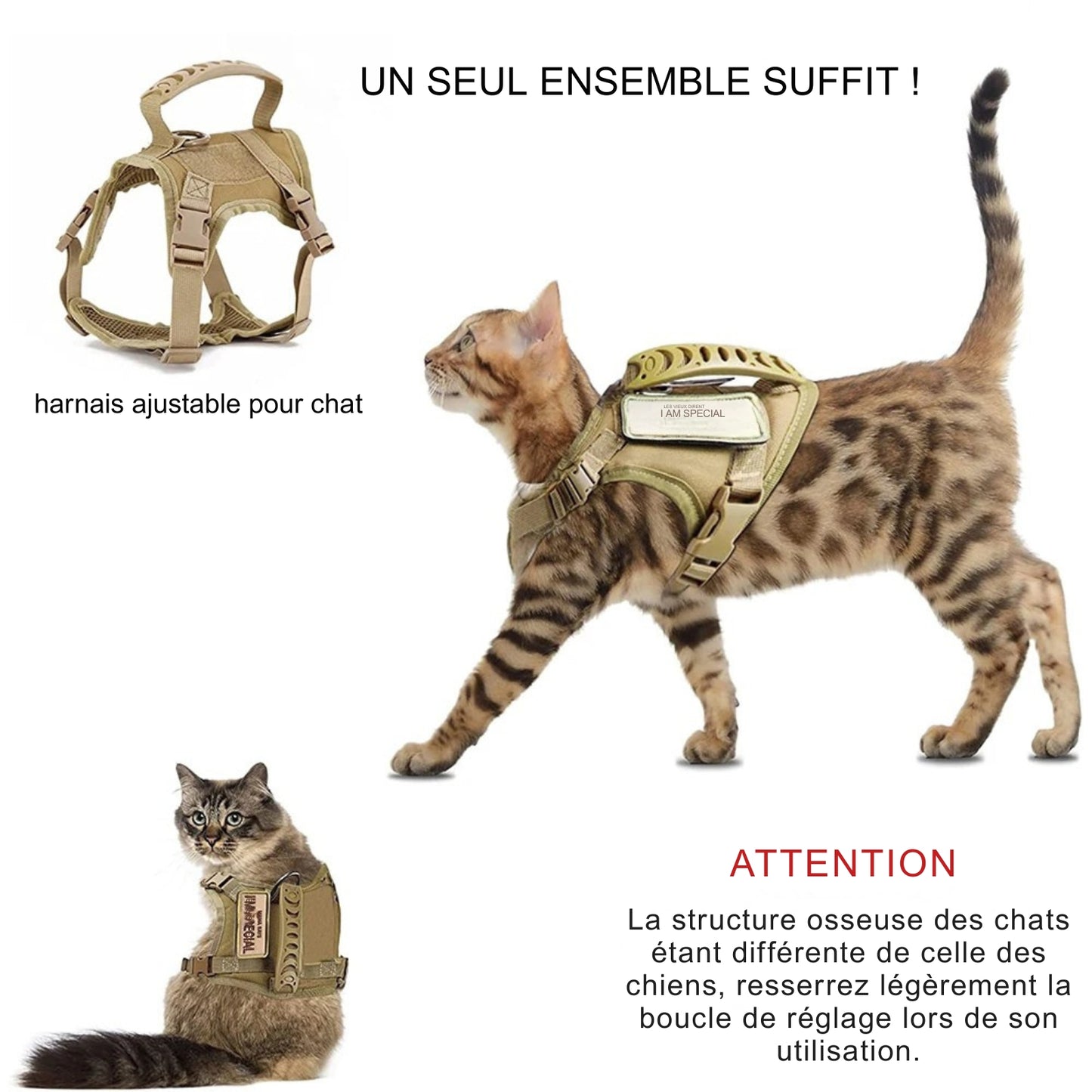 Infographie présentant un harnais ajustable beige pour chat, idéal pour stabiliser un collier gps chat. Le visuel montre trois vues du produit porté par des chats de races différentes et précise une « ATTENTION » importante sur le réglage de la boucle dû à la structure osseuse unique des félins. Une solution robuste et confortable, parfaitement adaptée comme support de collier gps pour chaton, assurant une sécurité optimale avec ce collier gps de style tactique