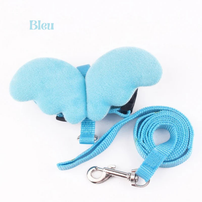 Kit complet laisse et harnais pour chat bleu turquoise avec ailes d'ange en peluche. Ce harnais chat ajustable en nylon possède des boucles de sécurité rapides et un mousqueton métallique. Un accessoire harnais animaux original, ultra-léger et confortable, idéal pour offrir un look unique et féerique à votre animal lors des balades.