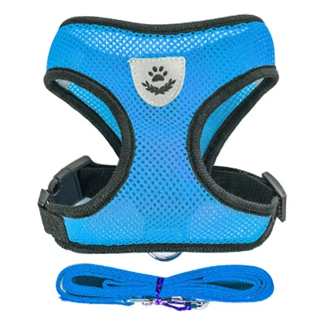 Vue studio d'un harnais pour chat bleu en maille respirante avec sa laisse assortie coordonnée. Ce harnais chat ergonomique possède un logo réfléchissant pour la sécurité nocturne et une boucle robuste pour un maintien optimal. Un harnais léger et confortable de qualité premium idéal pour les promenades quotidiennes.