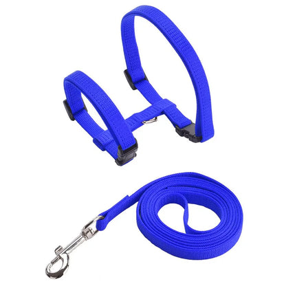 Ensemble harnais pour chat bleu en nylon avec laisse assortie et mousqueton métallique. Ce harnais chat de type H possède des sangles réglables et des boucles de fermeture rapide pour une sécurité maximale. Un kit harnais animaux léger et robuste, idéal pour les sorties en extérieur, offrant un contrôle anti-traction et un confort optimal pour le félin.