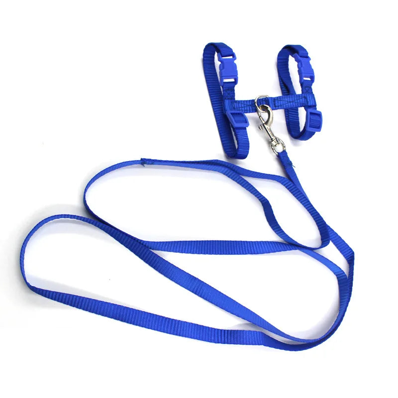 Ensemble laisse et harnais pour chat en nylon bleu royal haute résistance. Ce harnais chat réglable de type H est équipé de boucles de sécurité rapides et d'un mousqueton métallique chromé. Un accessoire harnais animaux léger et durable, conçu pour offrir un confort anti-traction et une sécurité maximale lors des sorties en extérieur.