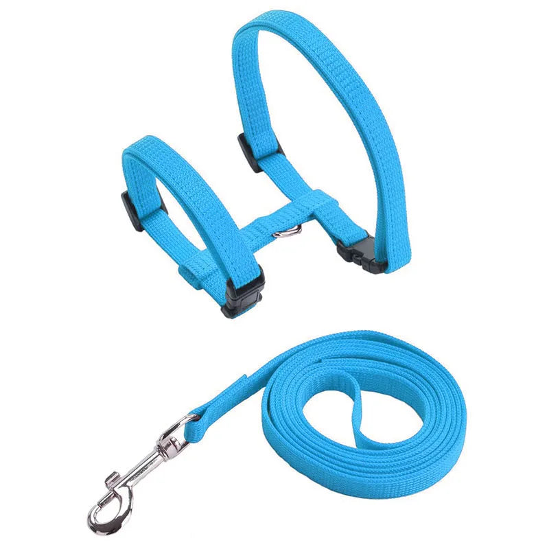 Ensemble harnais pour chat bleu turquoise en nylon avec laisse assortie et mousqueton métallique rotatif. Ce harnais chat de type H ajustable possède deux boucles clipsables pour une mise en place rapide et sécurisée. Un kit harnais animaux robuste et léger, idéal pour les premières sorties, offrant un confort anti-traction et un design moderne.