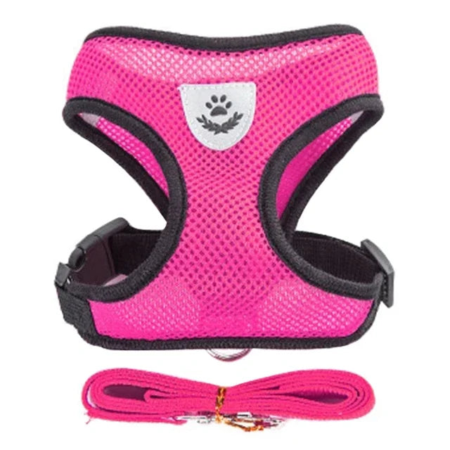 Vue studio d'un harnais pour chat rose fuchsia en maille respirante avec laisse assortie coordonnée. Ce harnais chat ergonomique possède un logo réfléchissant de sécurité et une boucle robuste pour un maintien optimal. Un harnais léger et confortable conçu pour les promenades quotidiennes en toute sécurité.