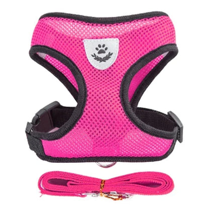 Vue studio d'un harnais pour chat rose fuchsia en maille respirante avec laisse assortie coordonnée. Ce harnais chat ergonomique possède un logo réfléchissant de sécurité et une boucle robuste pour un maintien optimal. Un harnais léger et confortable conçu pour les promenades quotidiennes en toute sécurité.