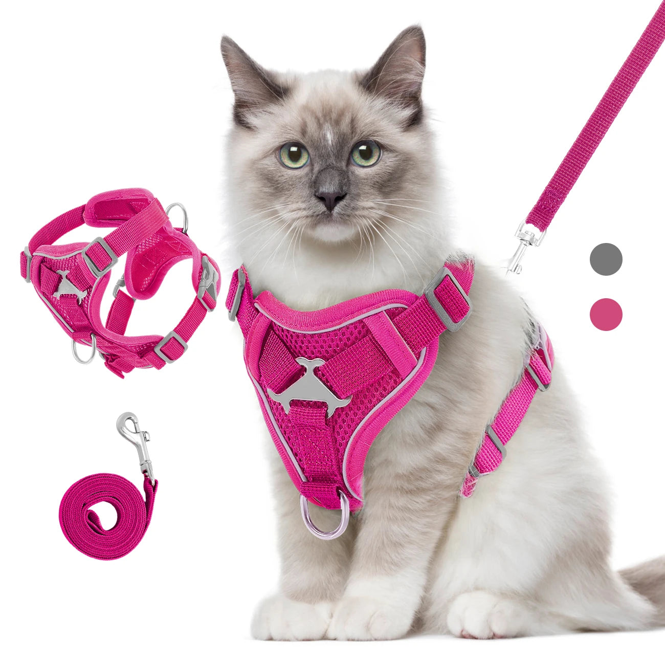 Chat de race portant un harnais pour chat rose fuchsia en maille mesh respirante. Le visuel présente ce harnais chat ajustable avec bandes réfléchissantes, sa laisse assortie et un zoom technique sur les fixations métalliques. Un modèle de harnais animaux ergonomique, anti-évasion et sécurisé pour une promenade confortable de jour comme de nuit.